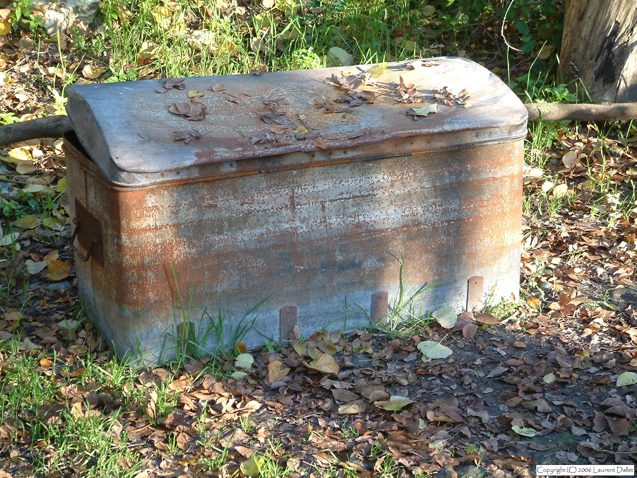DSCF0065