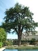 Cliquez ici pour voir l'image (Creuse149.JPG)