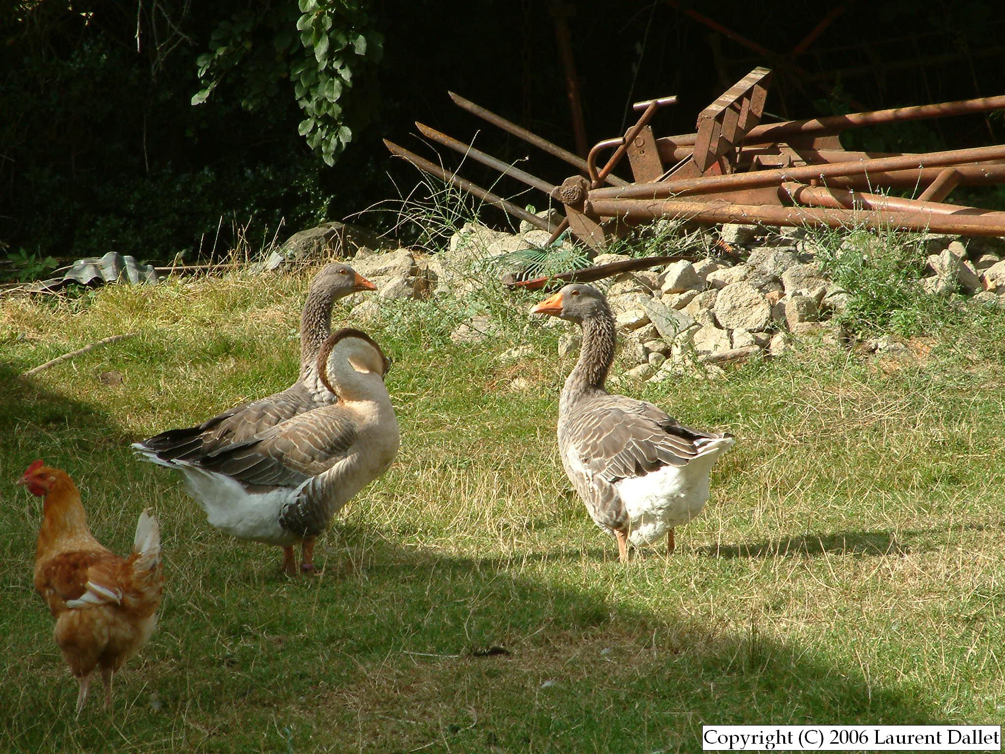 Creuse031