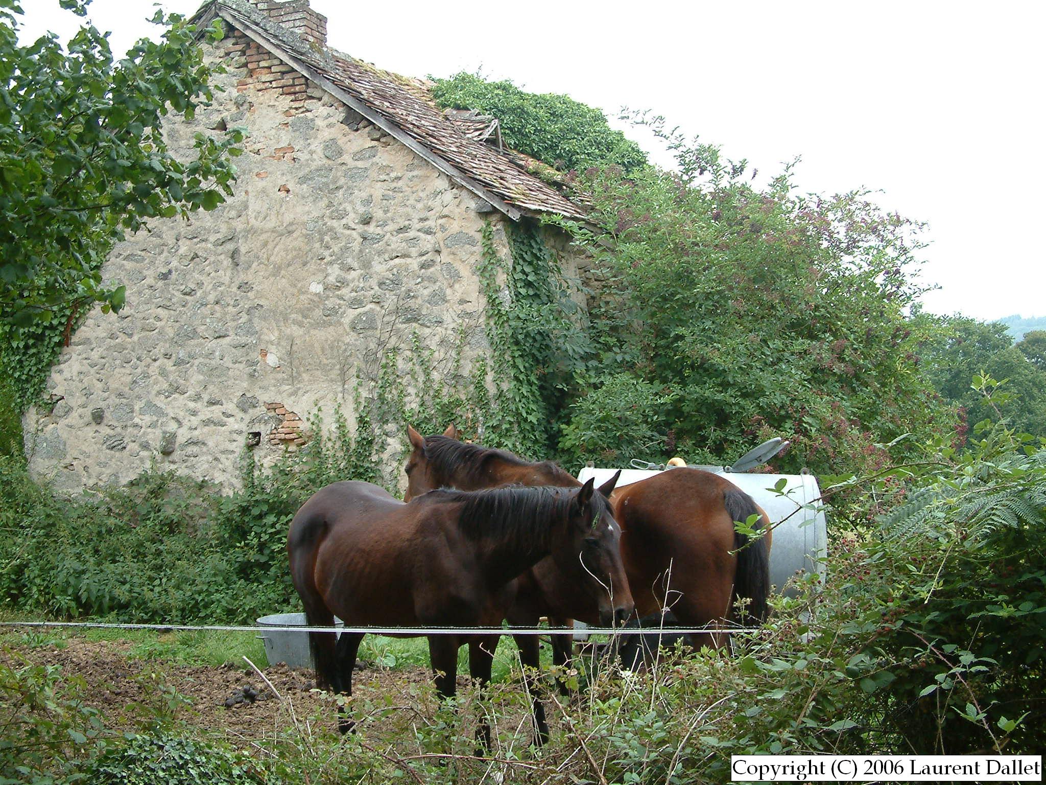 Creuse038