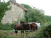 Cliquez ici pour voir l'image (Creuse038.JPG)