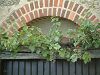 Cliquez ici pour voir l'image (Creuse077.JPG)