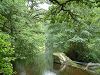 Cliquez ici pour voir l'image (Creuse022.JPG)