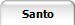 Santo