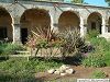 Cliquez ici pour voir l'image (Jardin024.JPG)