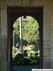 Cliquez ici pour voir l'image (Jardin026.JPG)