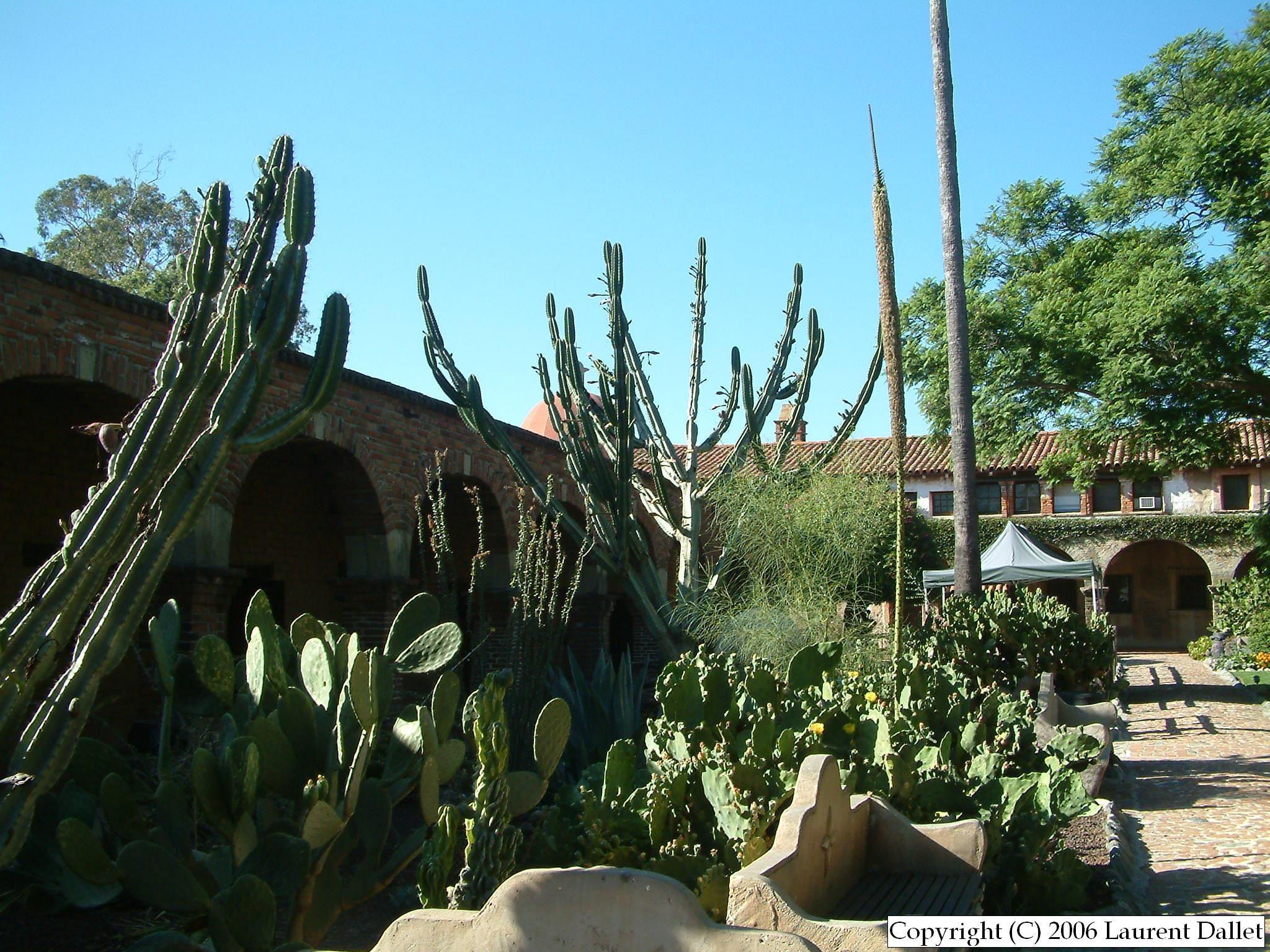 Plantes003