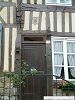 Cliquez ici pour voir l'image (Lyons06.jpg)