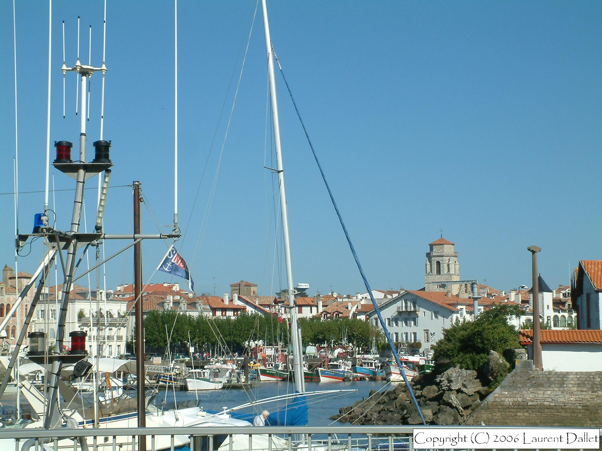DSCF0050