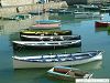 Cliquez ici pour voir l'image (DSCF0005.JPG)