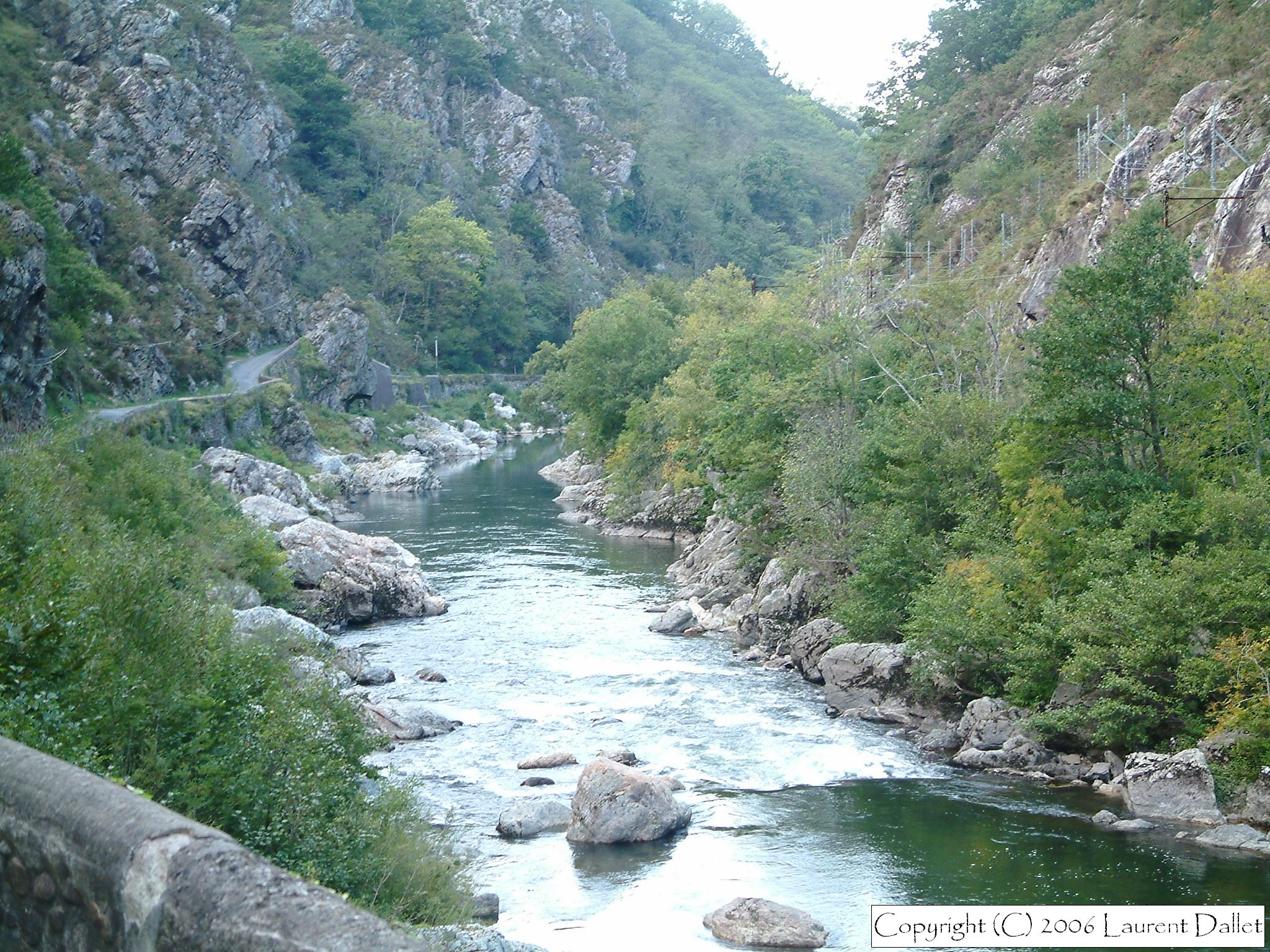 DSCF0320