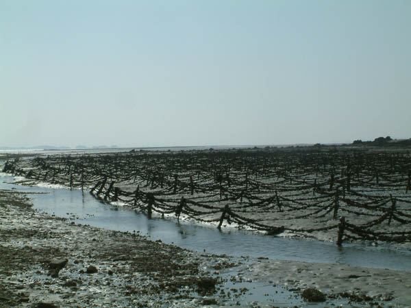 Corée2006 399
