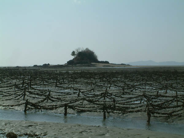 Corée2006 400