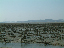 Corée2006 401